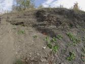 La Prairie Fossil Dig, October 5, 2013 (12 of 22)