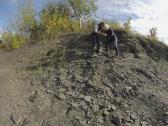 La Prairie Fossil Dig, October 5, 2013 (16 of 22)
